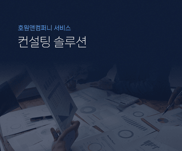 컨설팅 솔루션